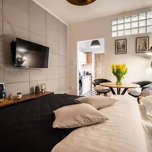Old Town Heart Xii - Poznanska Luxury Loft Apartament